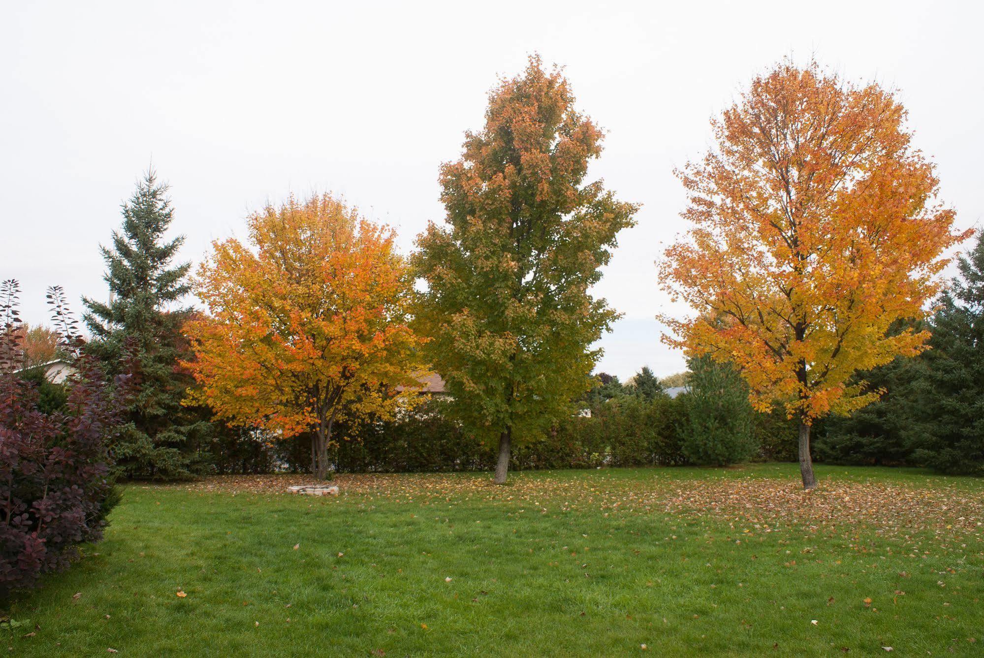 High Trees Bed & Breakfast Hotel Ottawa Exterior photo