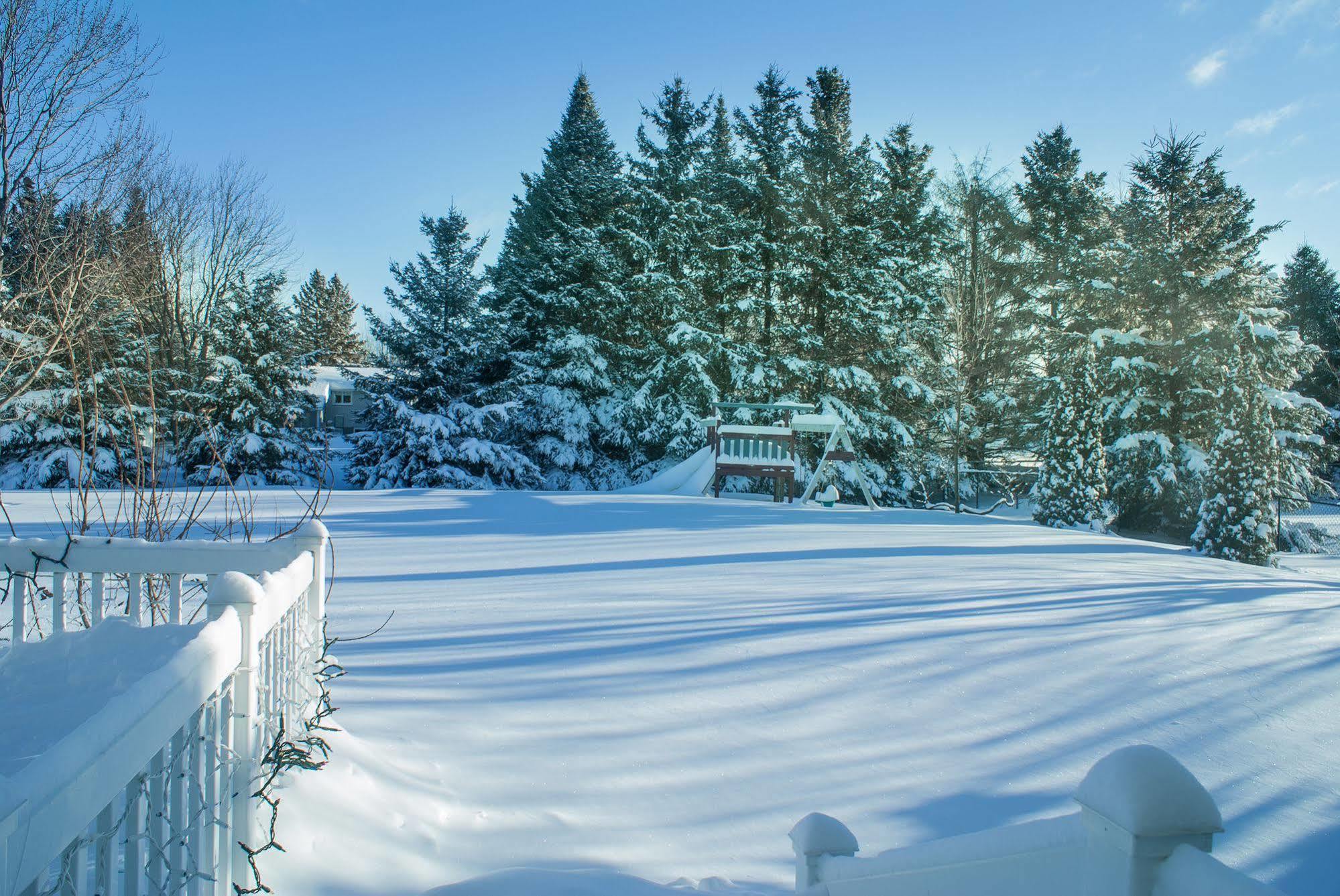 High Trees Bed & Breakfast Hotel Ottawa Exterior photo